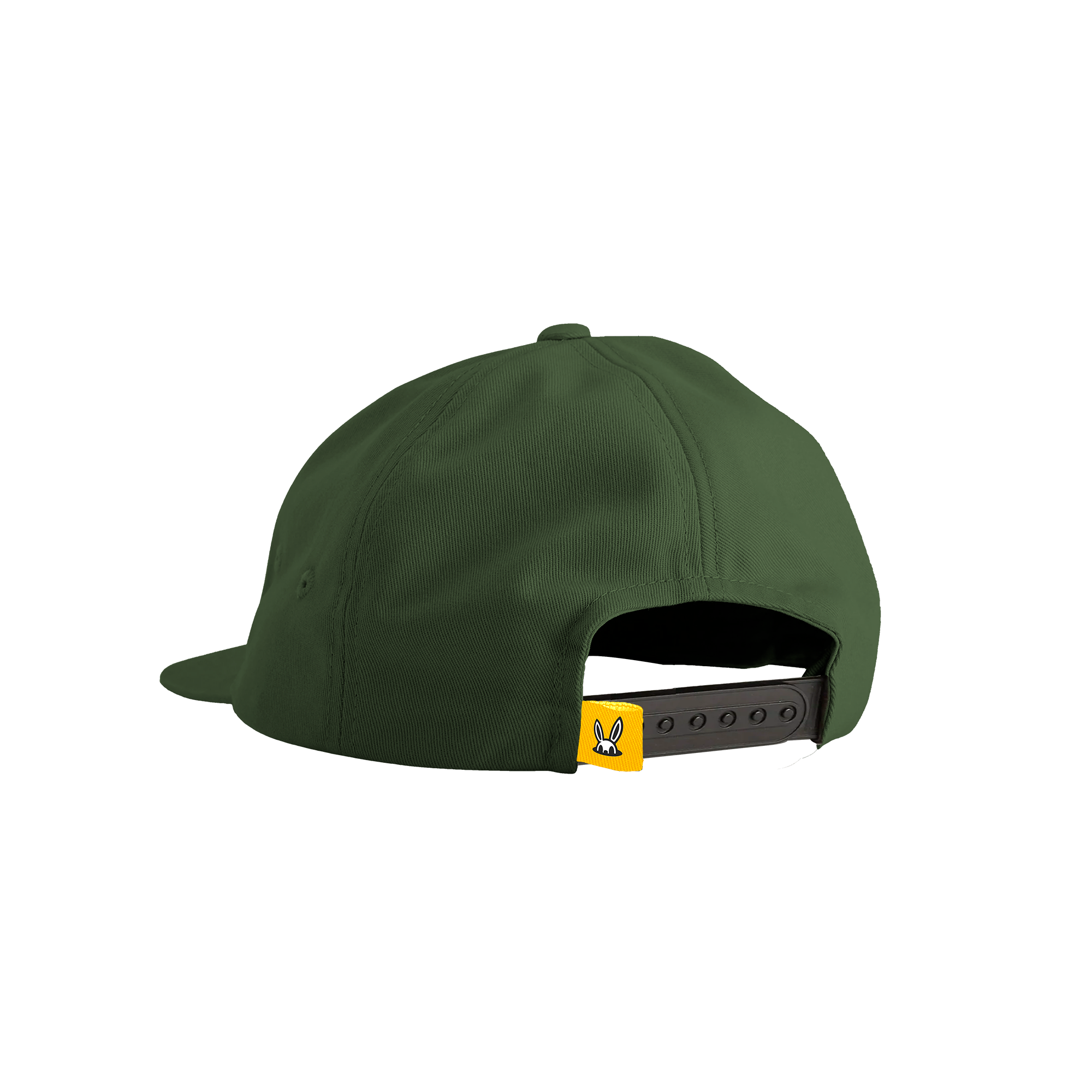 Classic Icon Snapback